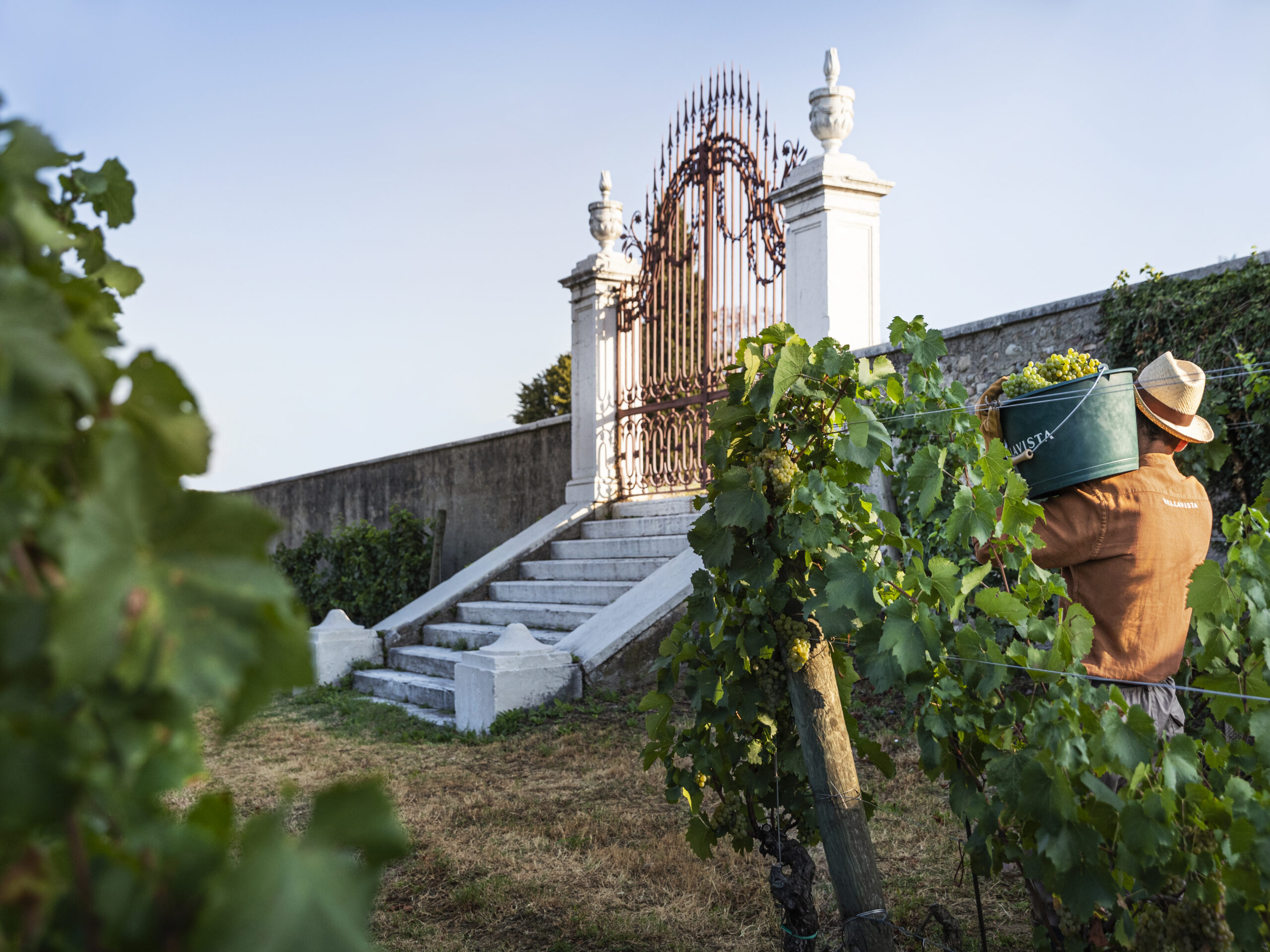 Bellavista_Breda Clos