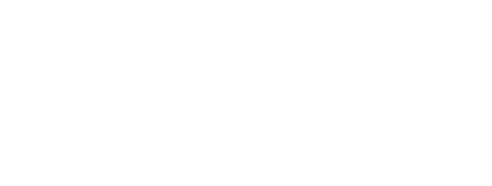 Canali logo
