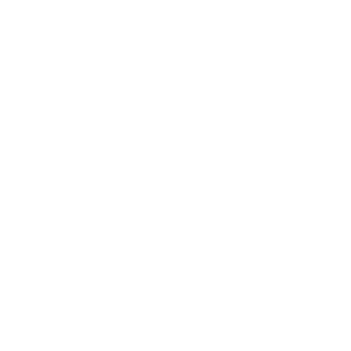 Max Mara logo