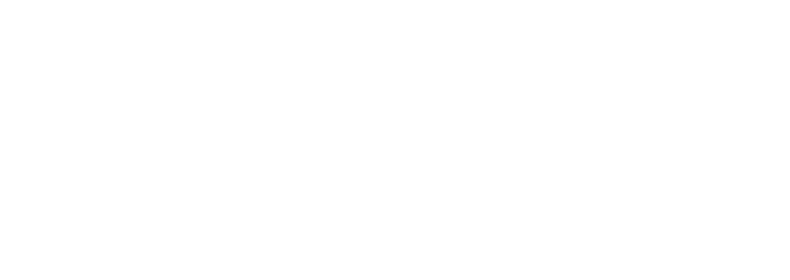 Etro logo